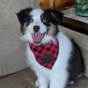 Meet your Posher, Beth